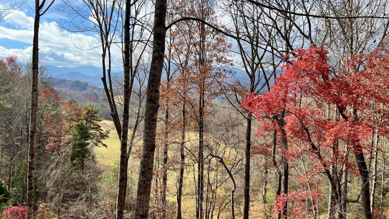 Misty Mountain Cottage 韦恩斯维尔 外观 照片